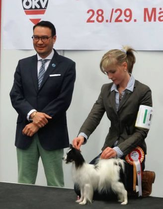 Junior BEST IN SHOW Int.Dog Show Salzburg, Austria mit 13 Monaten, Foto: Andrew Brace, Richter Dinky S. Santos, PHI