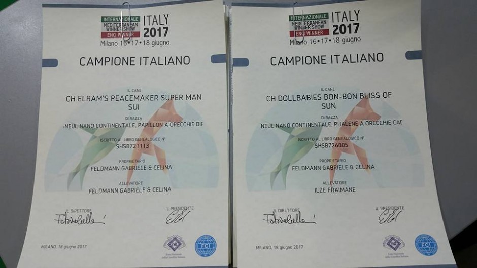Italien Champions